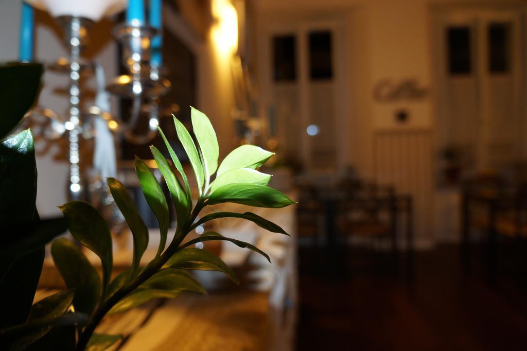 بياتشينسا Domus San Martino Guesthouse المظهر الخارجي الصورة